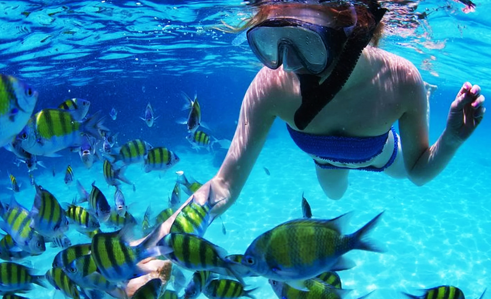 Snorkeling