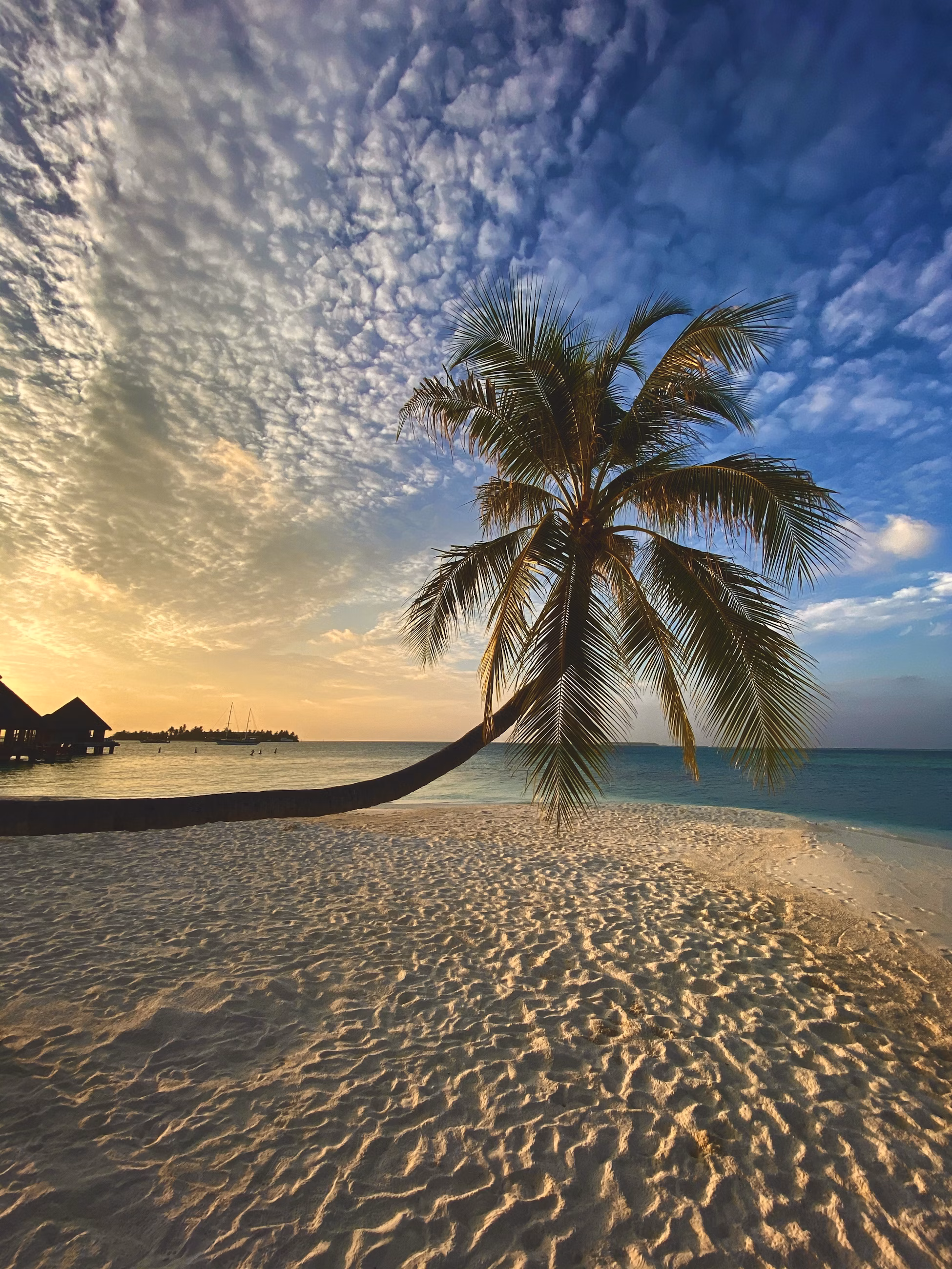 Palm Jumeirah
